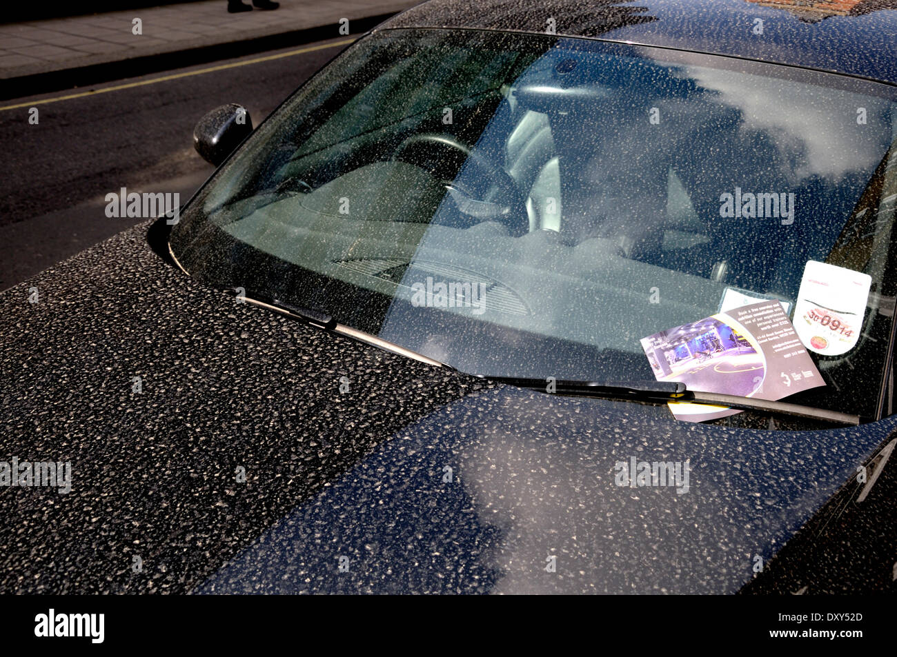 Londres, Royaume-Uni. 1er avril 2014. Le sable du Sahara déposés sur une  voiture à Londres au cours d'une douche à effet pluie Photo Stock - Alamy