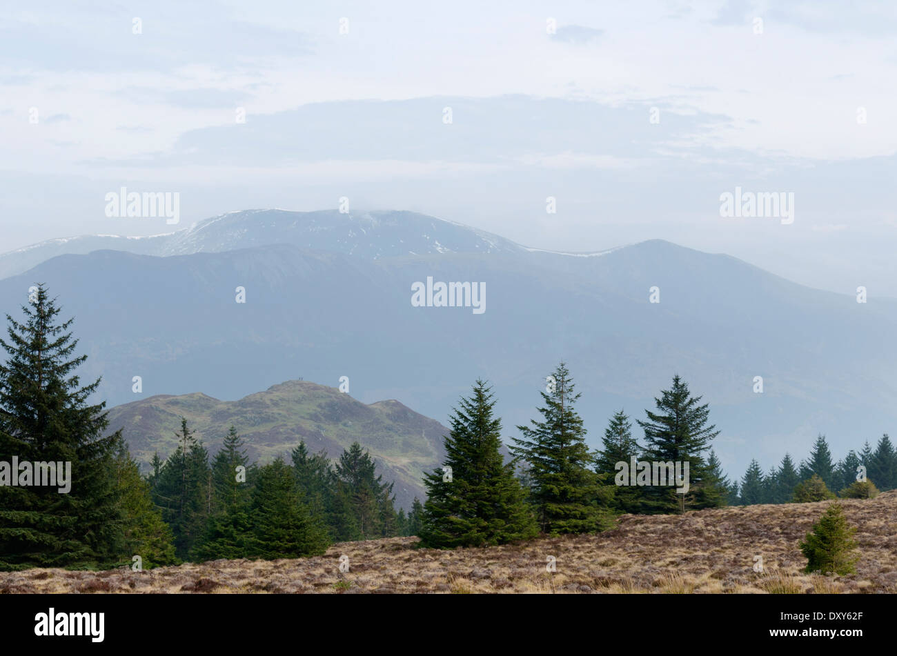 Barf et d Las Vegas à partir de la forêt près de Whinlatter haut Seigneur du conducteur dans le Lake District, Cumbria, Angleterre Banque D'Images