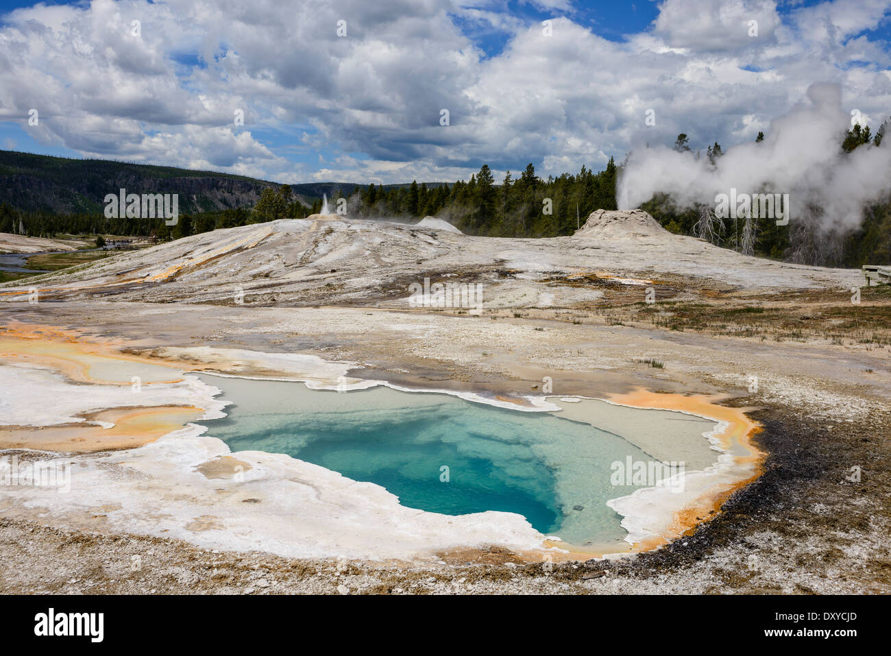 Coeur Printemps dans la région de Yellowstone Geyser Basin avec le groupe Geyser Lion qui éclaterait en arrière-plan. Banque D'Images