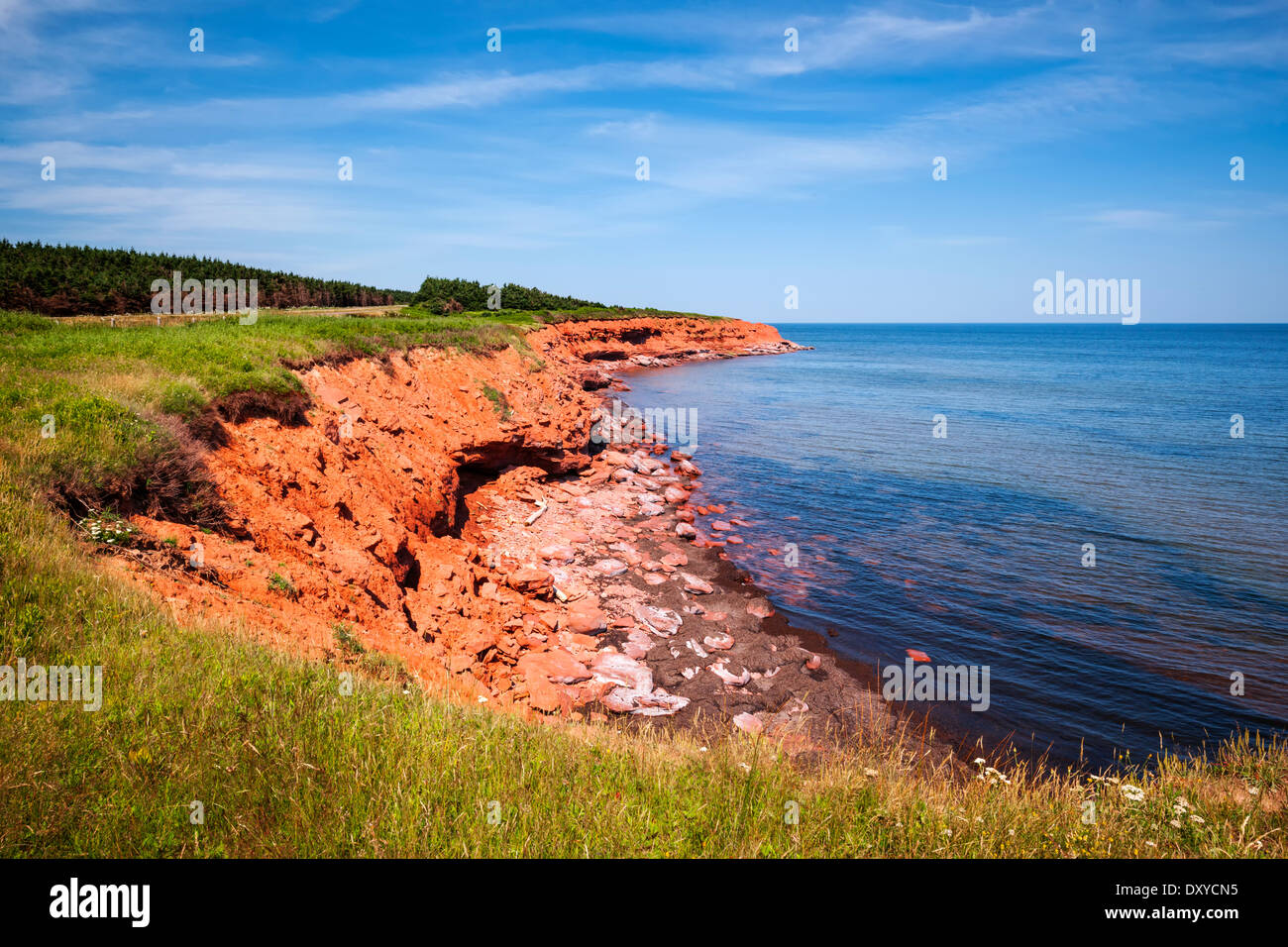 Les falaises rouges de l'Île du Prince Édouard côte atlantique de côte des pignons verts, PEI, Canada. Banque D'Images