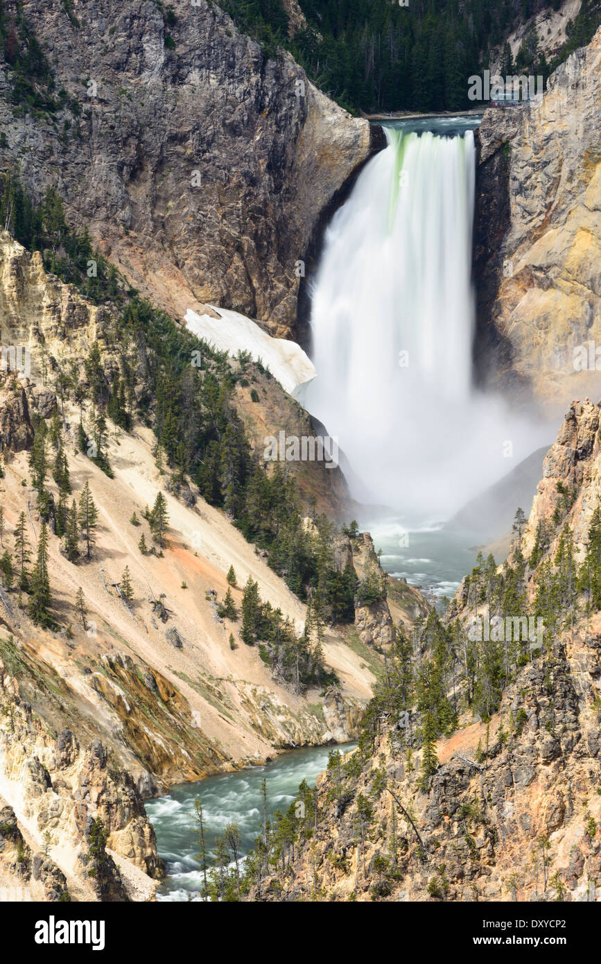 La partie inférieure des chutes de la rivière Yellowstone s'écoule à travers le Grand Canyon de la Yellowstone. Banque D'Images