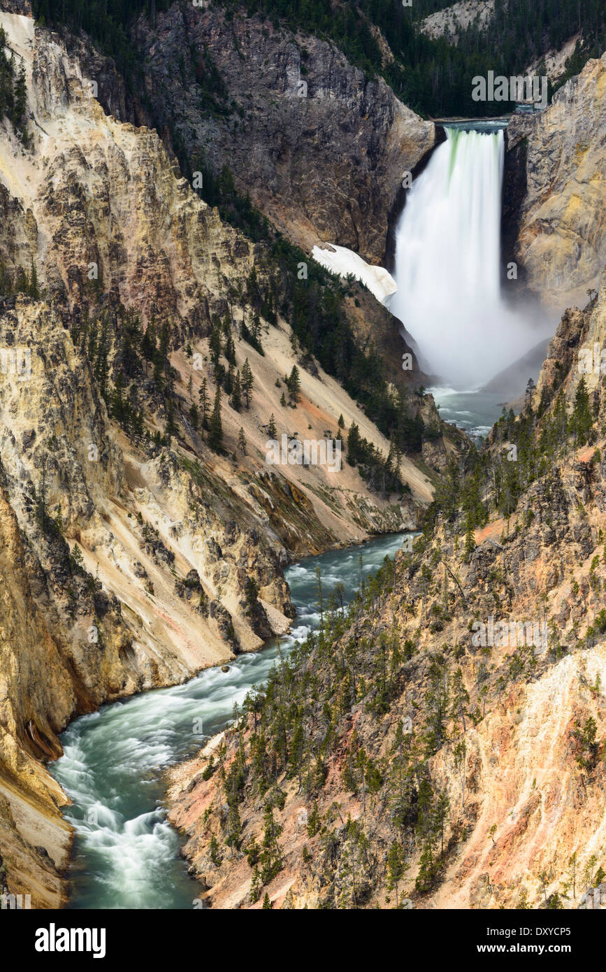 La partie inférieure des chutes de la rivière Yellowstone s'écoule à travers le Grand Canyon de la Yellowstone. Banque D'Images