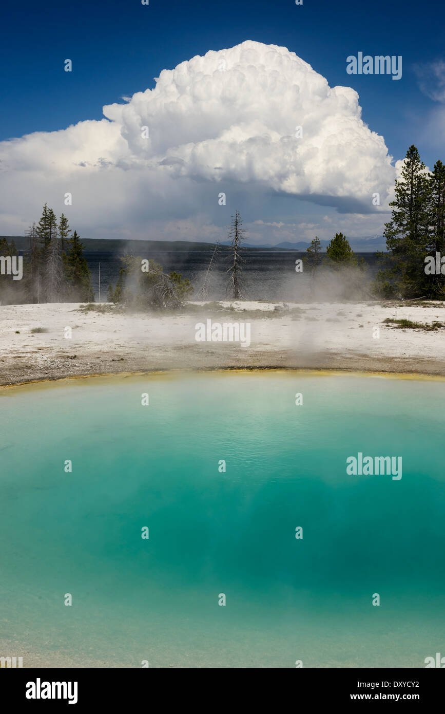 Entonnoir bleu Le printemps est une source d'eau chaude situé dans le groupe inférieur de l'ouest du bassin du pouce sur la rive du lac Yellowstone. Banque D'Images