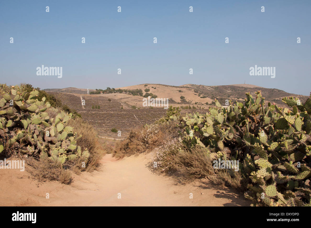 Randonnée pédestre à Orange County en Californie Banque D'Images