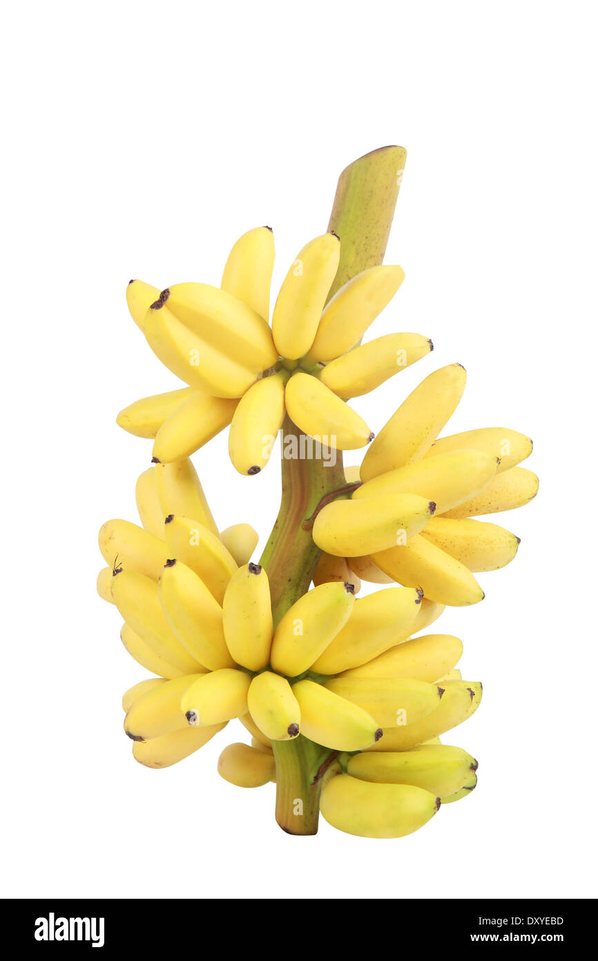 Régime de bananes mûres sur fond blanc avec clipping path Banque D'Images