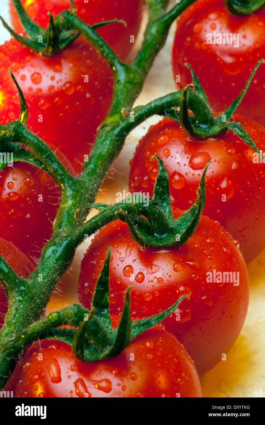 Tomates de vigne Banque D'Images