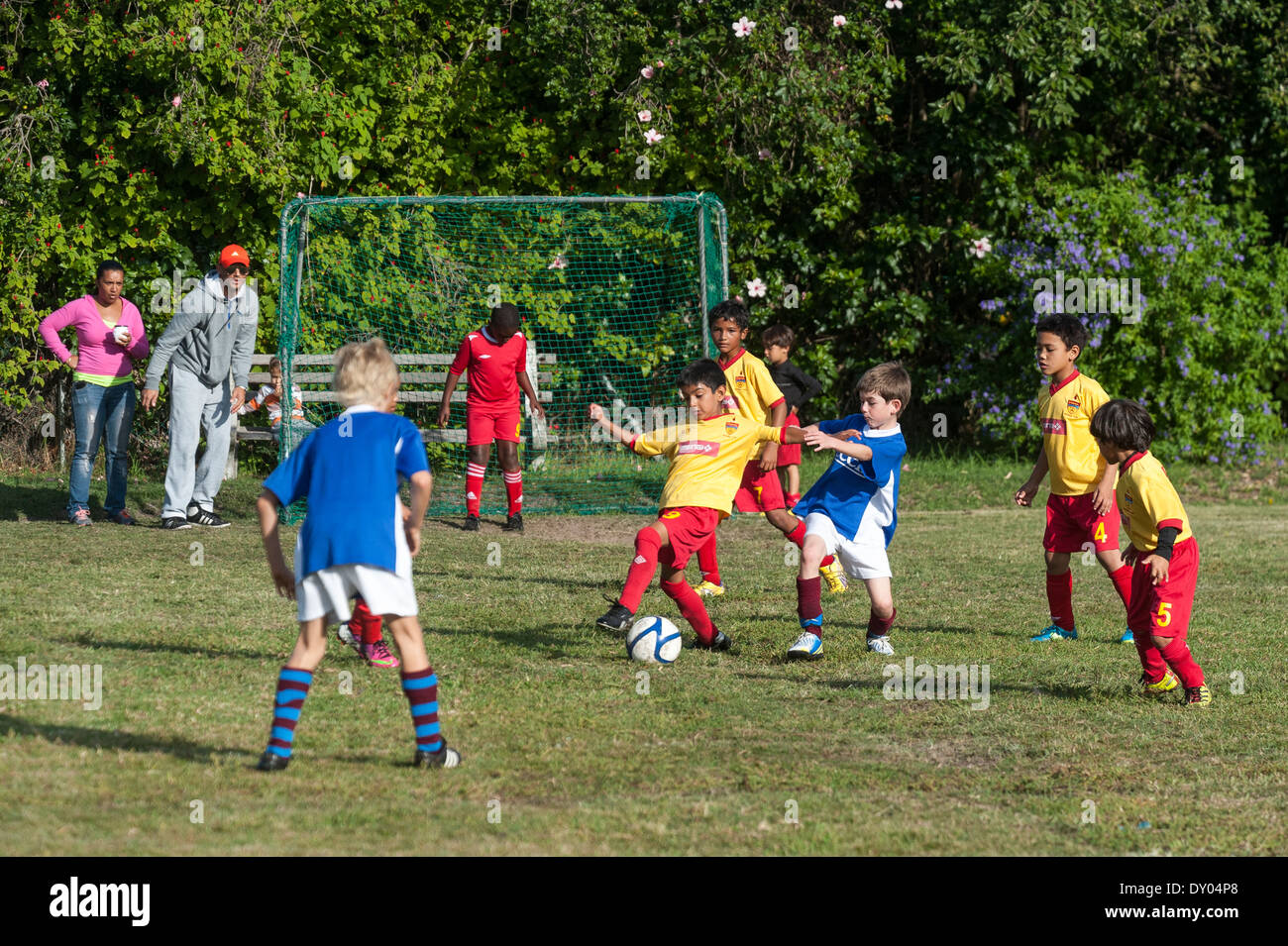 Les joueurs de football d'équipes de jeunes U9 s'attaquer pour gagner la balle, Cape Town, Afrique du Sud Banque D'Images