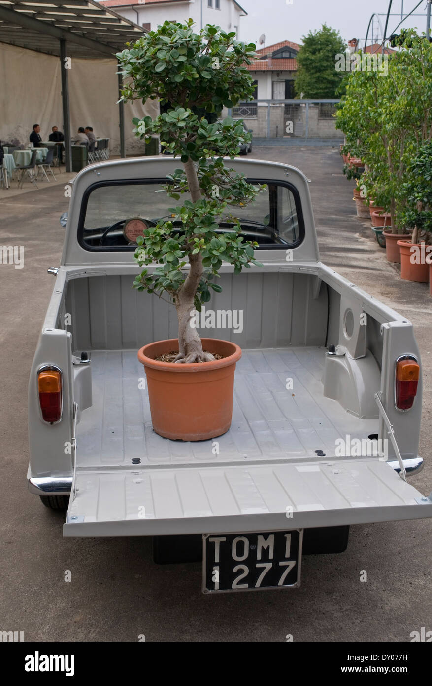 Pick up véhicule avec plante en pot au garden centre, France Banque D'Images
