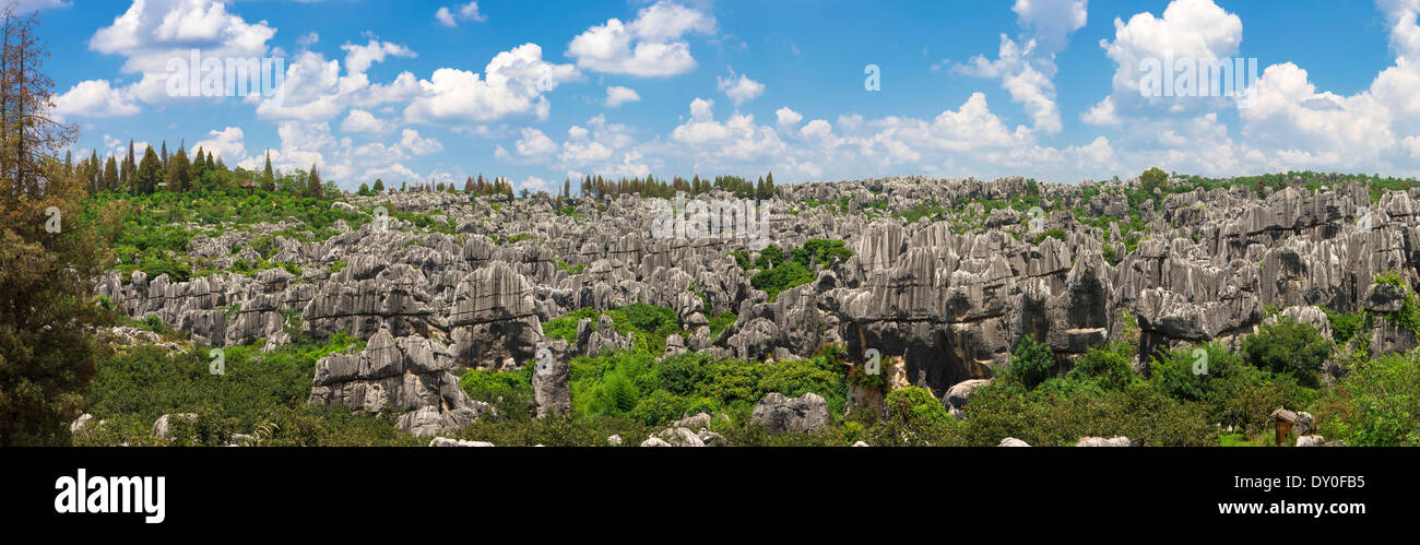 Forêt de pierre calcaire a UNESCO World Heritage Sites, Kunming Yunnan en Chine. Banque D'Images