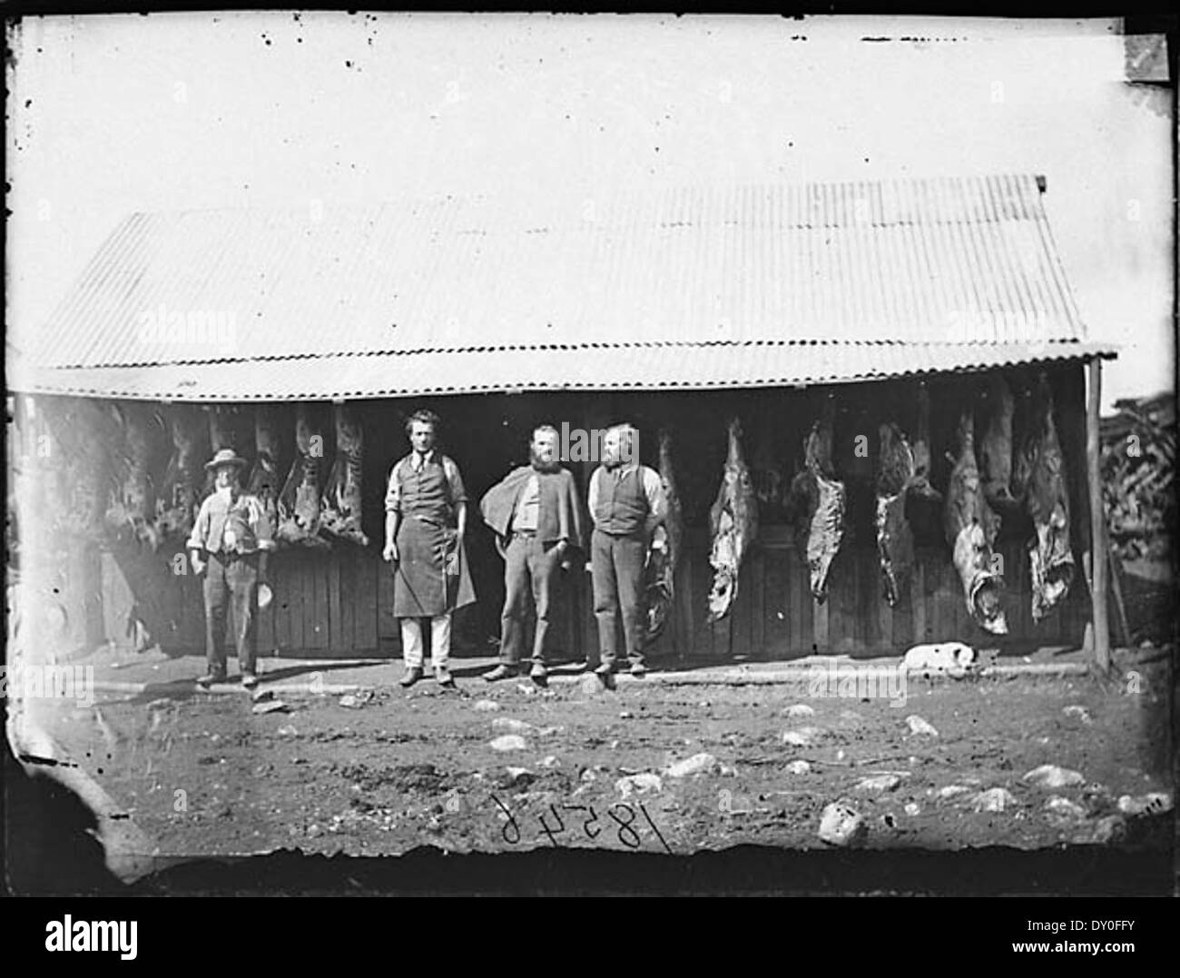 La boucherie de G.H. Bryant sur Clarke Street à Hill End, en Nouvelle-Galles du Sud, a été photographiée au milieu du XIXe siècle. L’image capture la boutique historique et son rôle dans la communauté locale pendant la période de ruée vers l’or de la ville. Banque D'Images