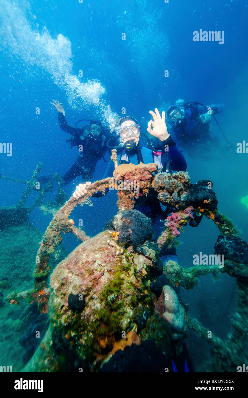Plongée sous-marine, d'un naufrage, la mer Adriatique, la Croatie, l'Europe Banque D'Images