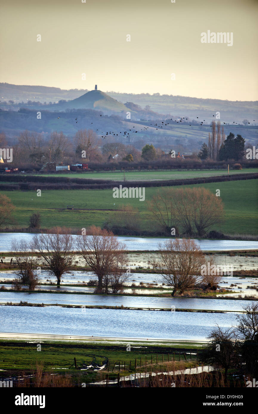 Vue de Tor de Glastonbury de Burrow Mump sur les champs inondés des Somerset Levels UK Mars 2014 Banque D'Images