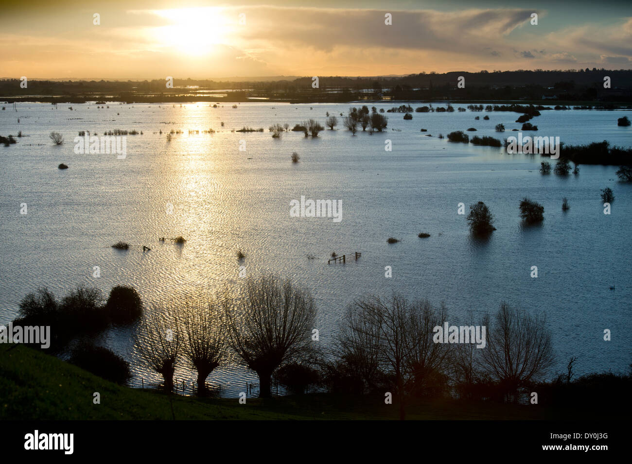 L'aube sur le champs inondés des Somerset Levels près de Burrowbridge UK Mars 2014 Banque D'Images
