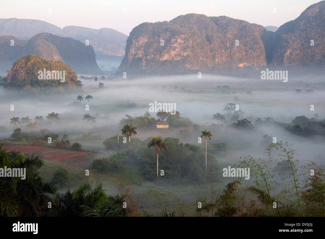 Tôt le matin dans la brume vue Vallée de Vinales Cuba Banque D'Images