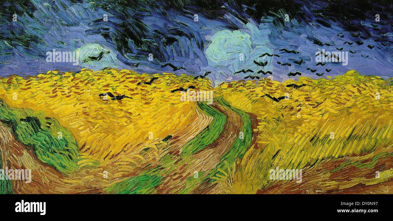 Champ de blé avec des corbeaux Banque de photographies et d’images à haute résolution Alamy