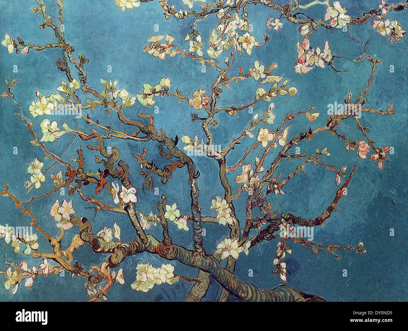 Vincent van Gogh Branche d'amandier en fleurs Banque D'Images
