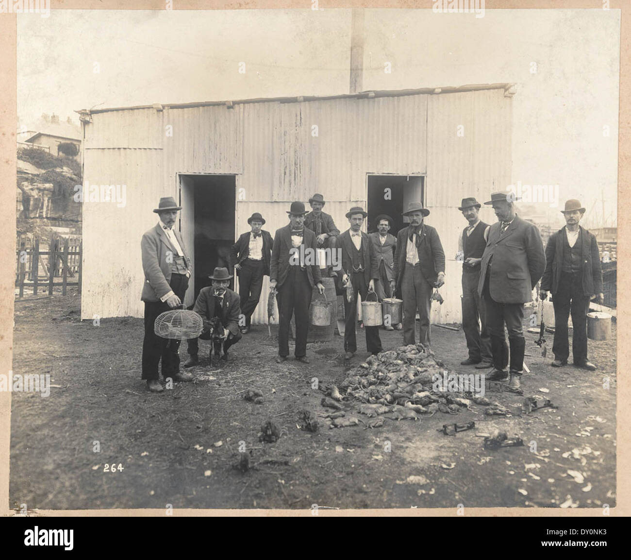 Ratcatchers professionnels, d'après les points de vue pris lors des opérations de nettoyage, zone de quarantaine, Sydney, 1900, vol. IV / sous la supervision de M. George McCredie, F.I.A., N.S.W. photographié par John Degotardi Jr Banque D'Images