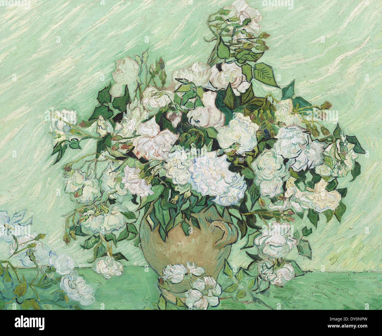 Vincent van Gogh Roses Blanches Banque D'Images