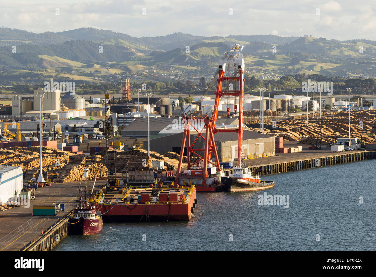 Tauranga, Nouvelle-Zélande - zone portuaire avec le bois pour l'exportation empilés sur le quai au crépuscule Banque D'Images