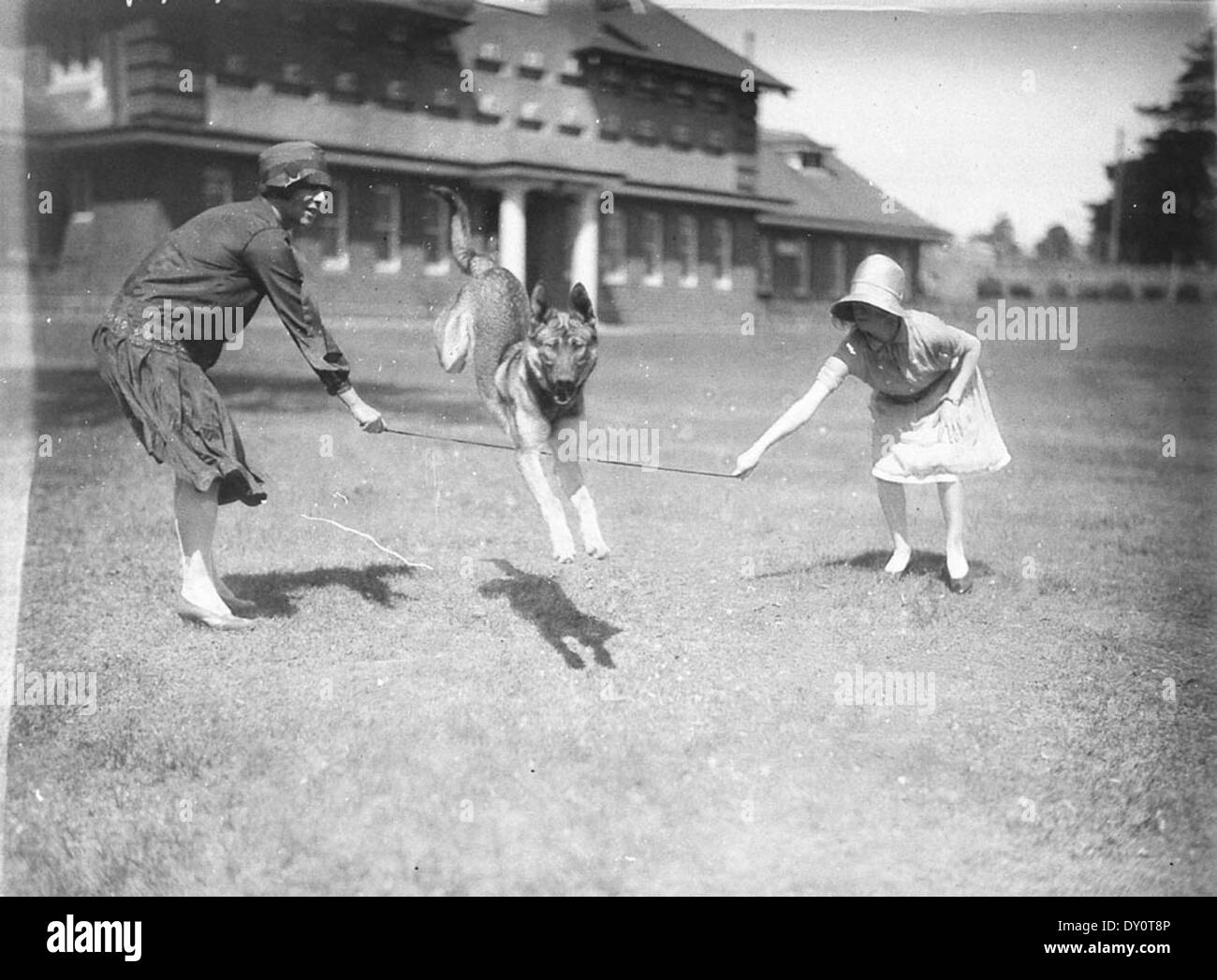 Chien eleveurs alsaciens exhibant leurs chiens à l'hippodrome de Randwick, ch. 1934, par Sam Hood Banque D'Images