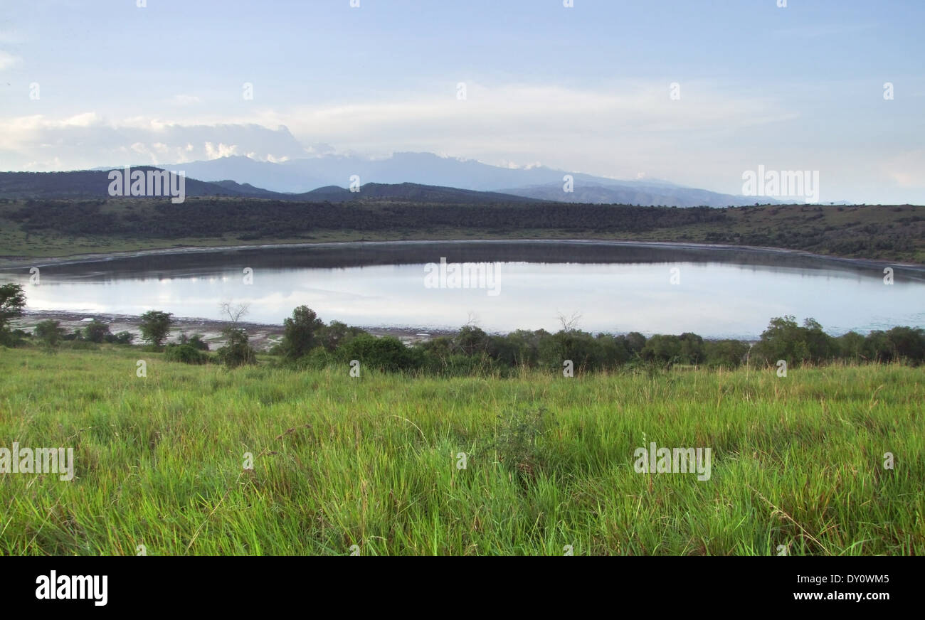 Vue magnifique au bord de l'eau dans le Parc national Queen Elizabeth en Ouganda (Afrique) au temps du soir Banque D'Images