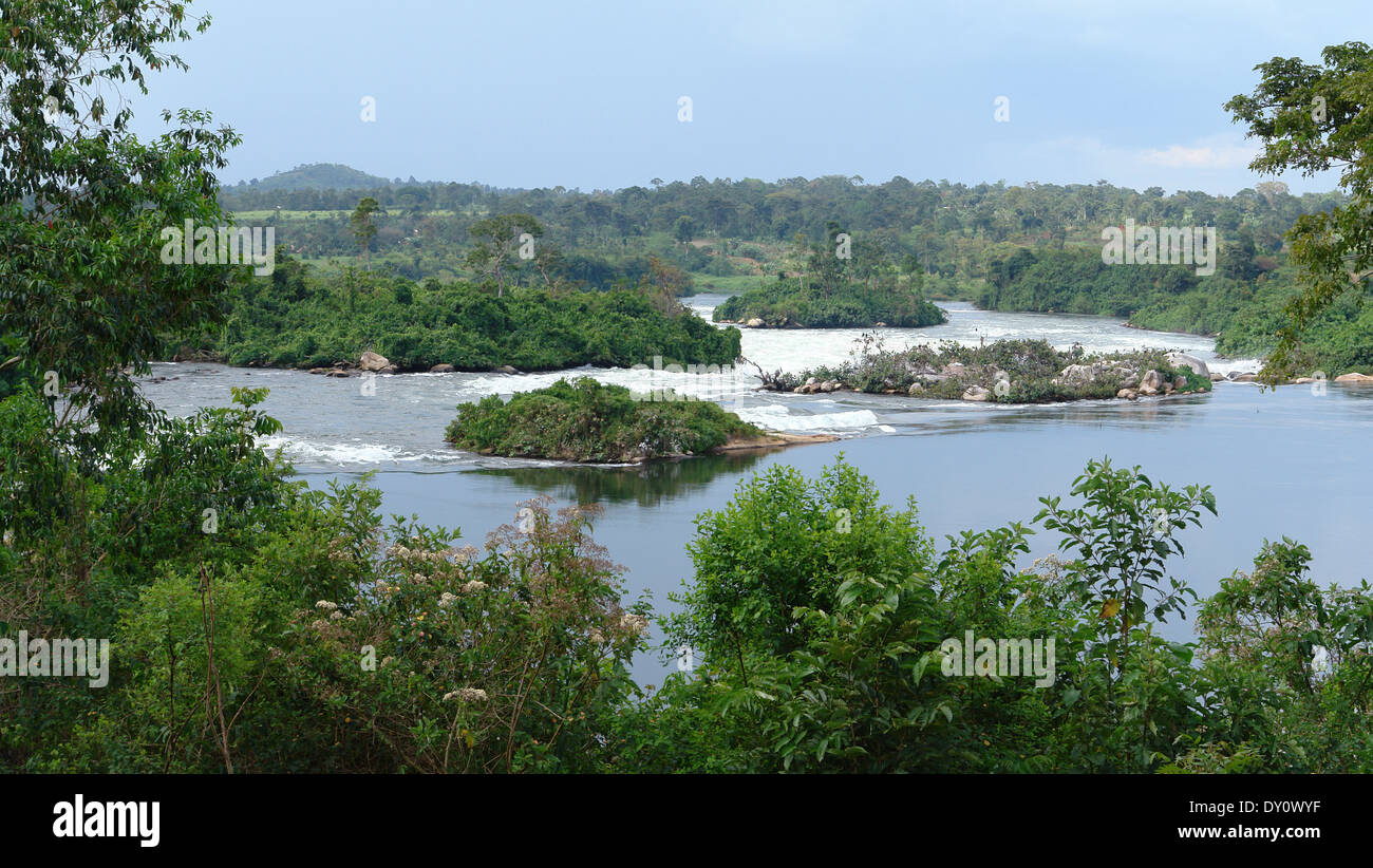 Vue magnifique au bord de l'montrant le Nil près de Jinja en Ouganda (Afrique) Banque D'Images