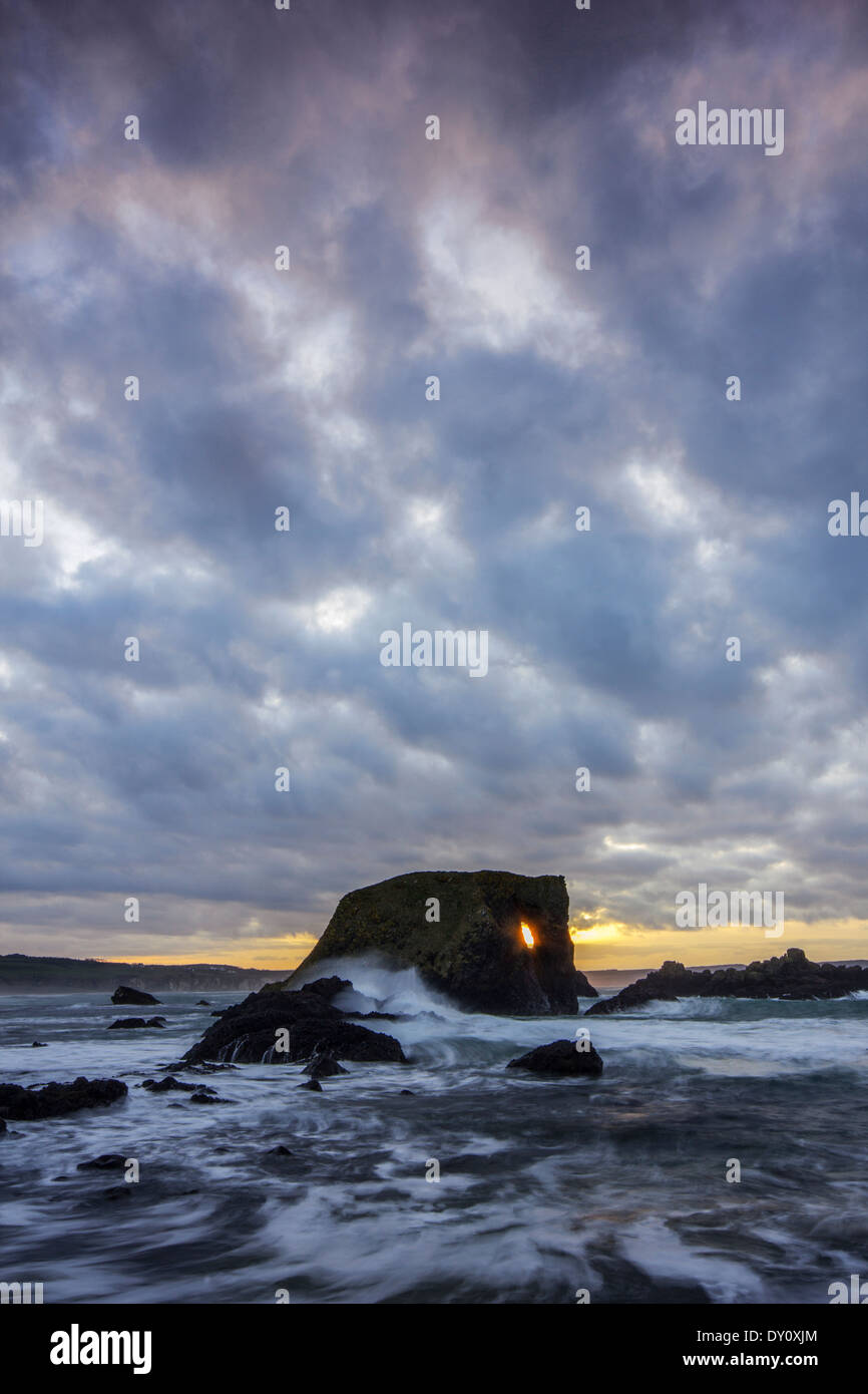 Coucher du soleil sur le célèbre rocher de l'éléphant à Ballintoy Bay, en Irlande du Nord. Banque D'Images