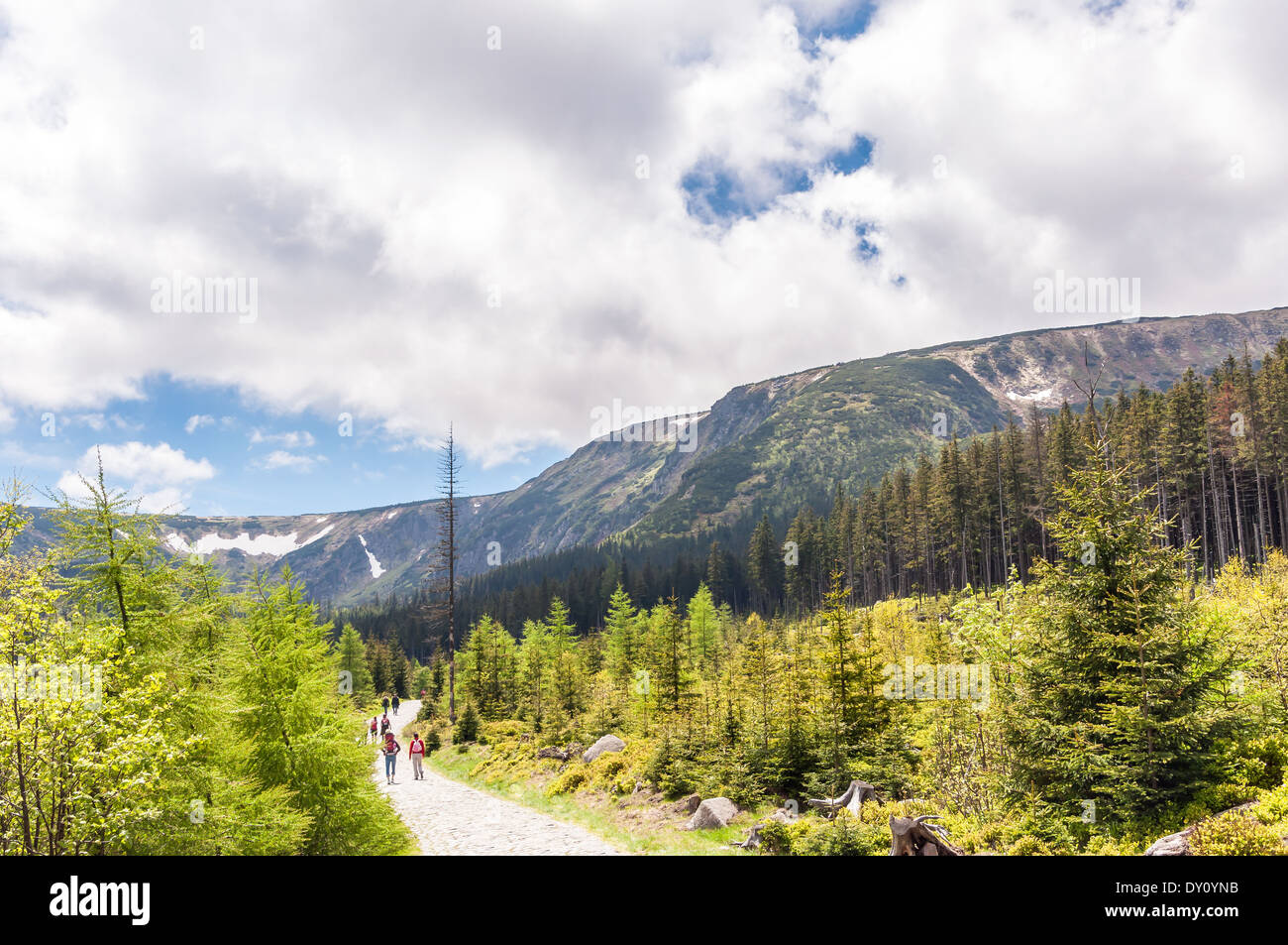 Chemin touristique dans le Parc National de Karkonosze, Pologne Banque D'Images
