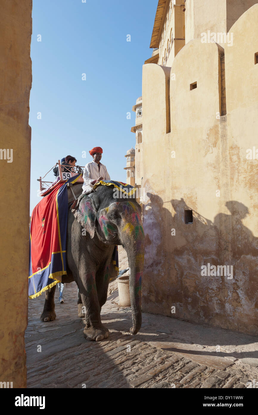 L'ambre, Rajasthan, Inde. Des éléphants au Fort-Palace Ambre. L'ambre est situé à11 km (6,75 miles) au nord de Jaipur Banque D'Images