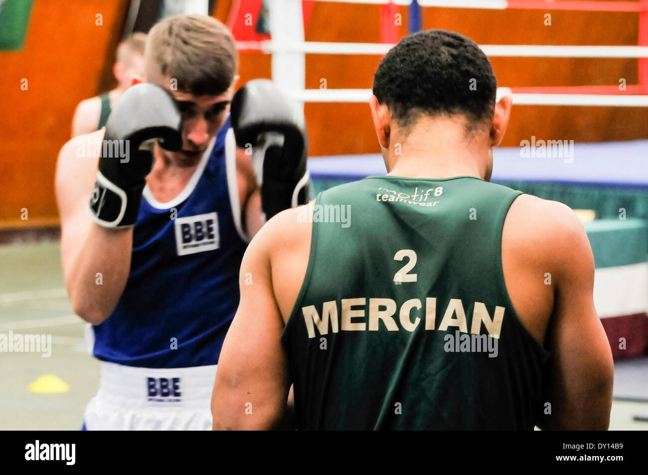 Holywood, Irlande du Nord. 2 Apr 2014 - 2e Bataillon du Régiment de mercie dans la formation de l'équipe de boxe Crédit : Stephen Barnes/Alamy Live News Banque D'Images