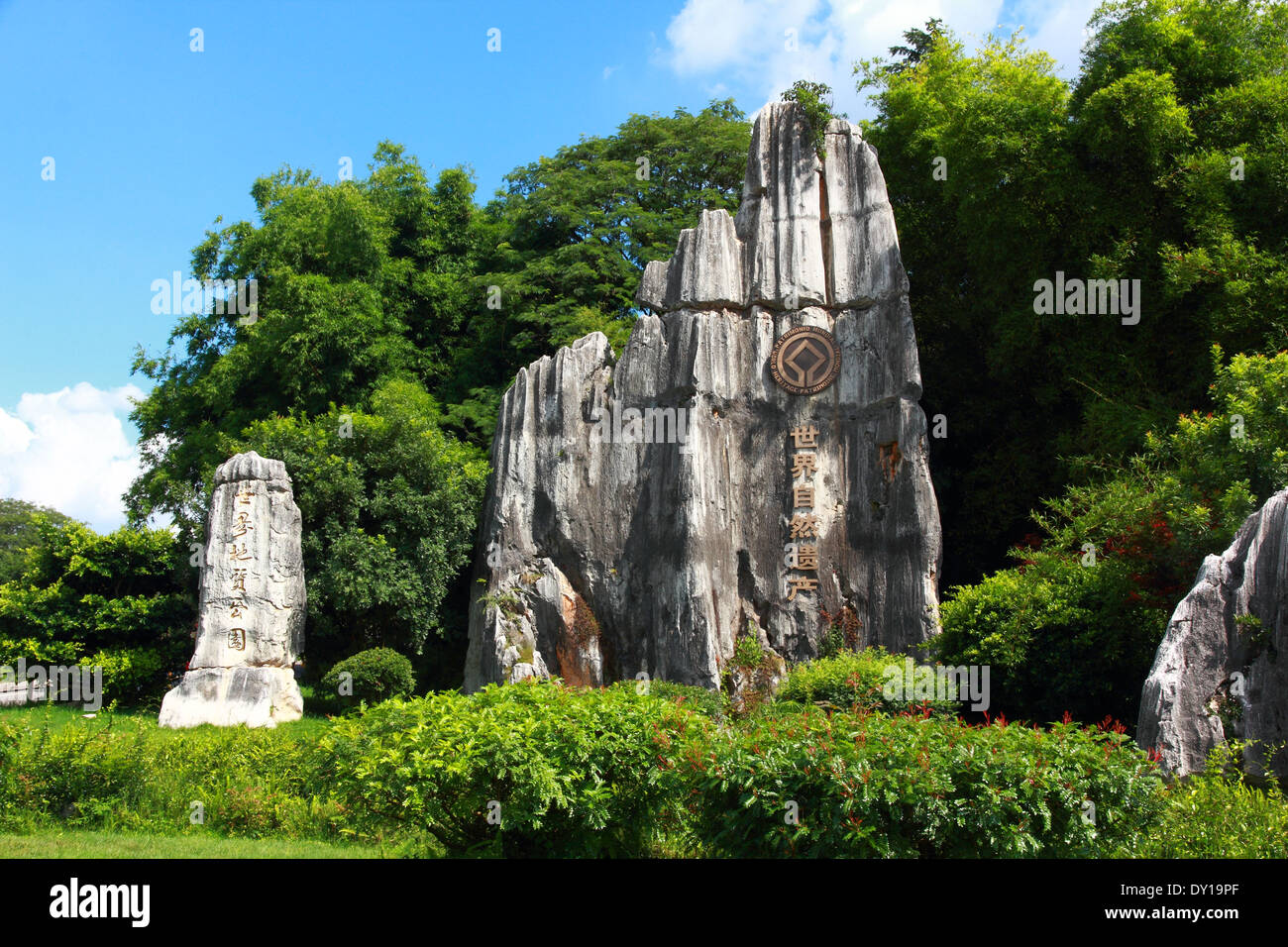 Forêt de pierre calcaire a UNESCO World Heritage Sites, Kunming Yunnan en Chine. Banque D'Images