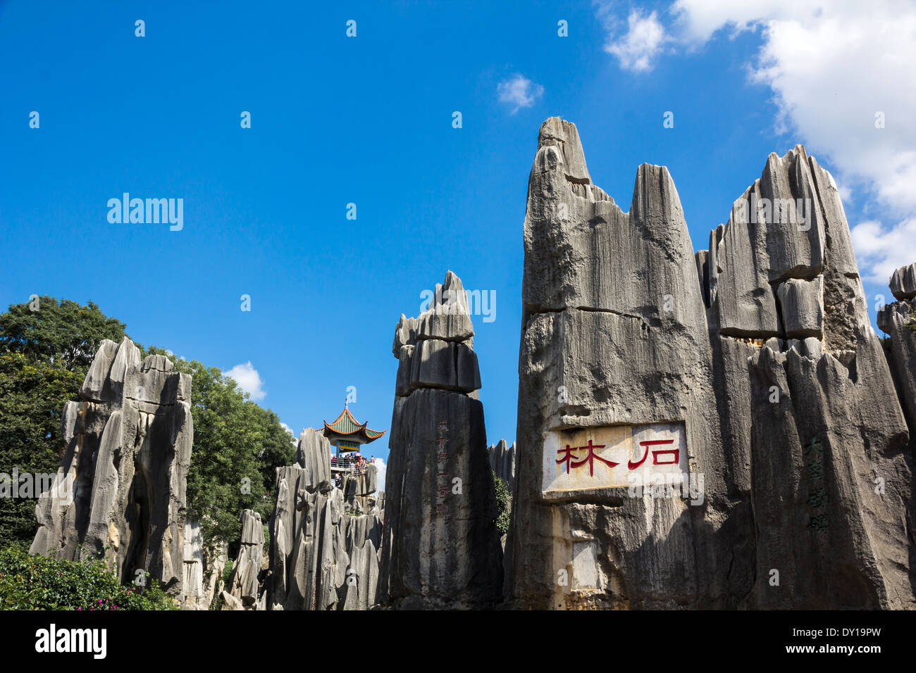 Forêt de pierre calcaire a UNESCO World Heritage Sites, Kunming Yunnan en Chine. Banque D'Images