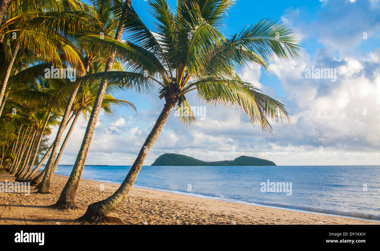 Une belle plage tropicale avec palmiers au lever du soleil dans le nord de l'Australie Banque D'Images