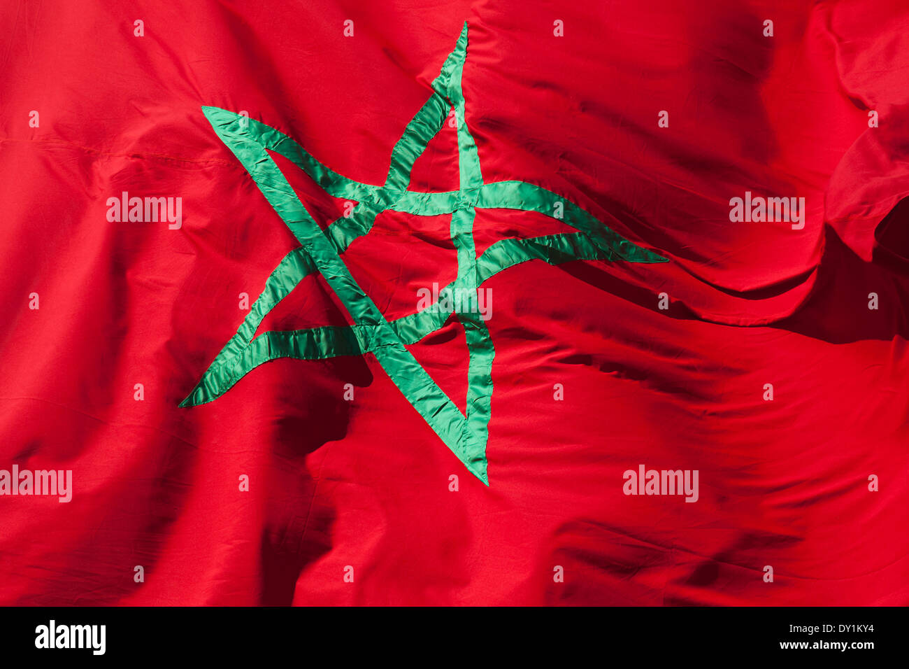 Brandissant le drapeau national du Maroc. Étoile verte sur fond rouge Banque D'Images