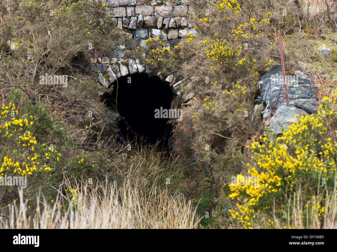 L'ancien Tunnel Moelwyn Banque D'Images