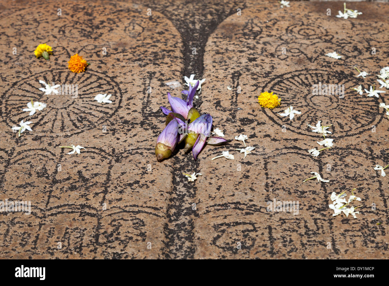 Offres dans le Isurumuni florale Temple, Sri Lanka 3 Banque D'Images