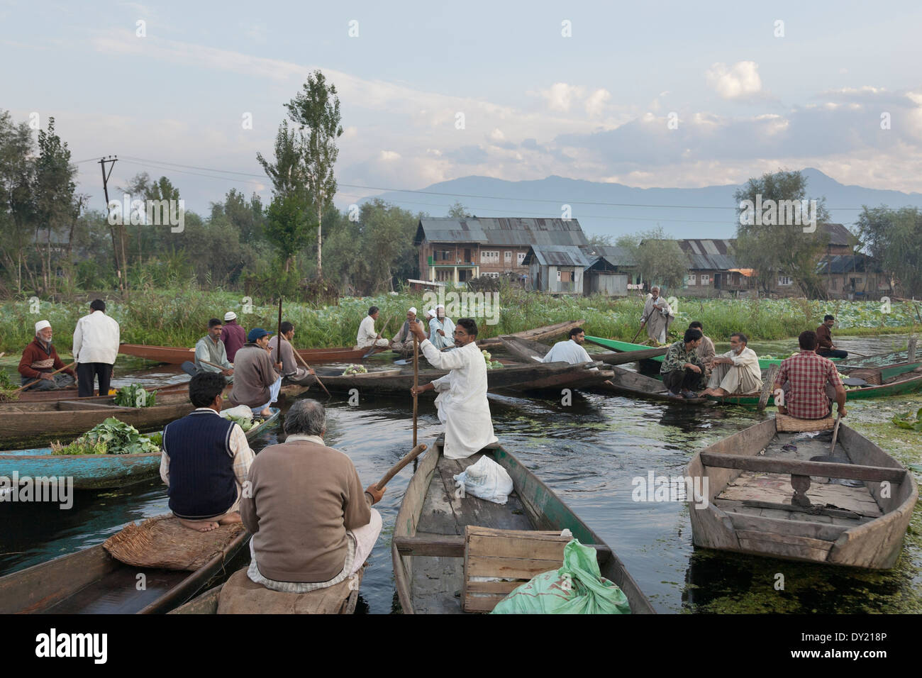 Srinagar, Inde, Asie du Sud. Marché Flottant, Dal Lake Banque D'Images