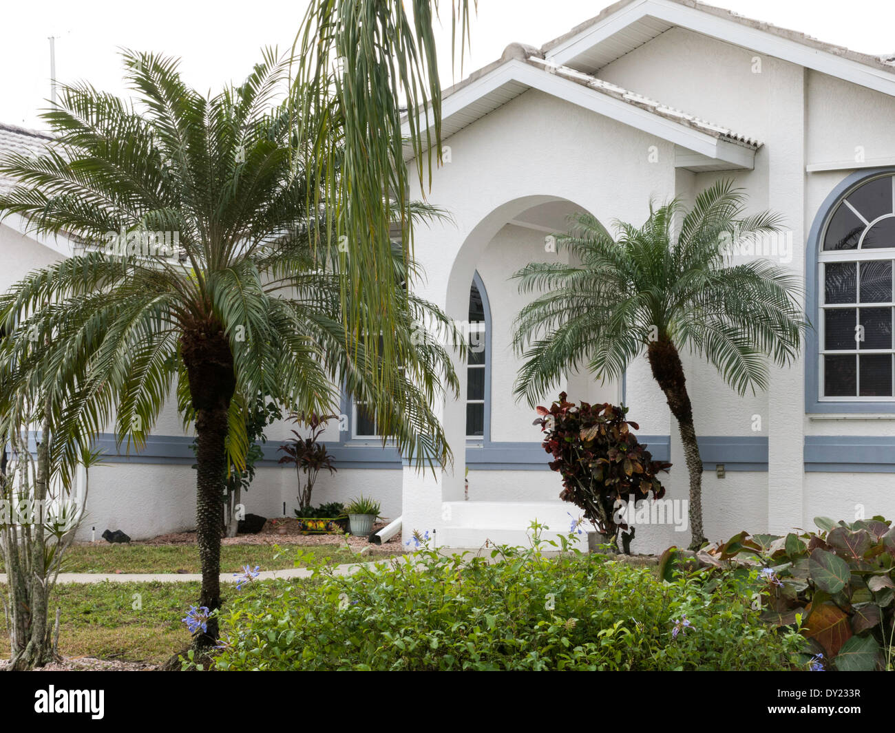 Avant de Floride Haut de Suburban Home avec palmiers, FL, USA Banque D'Images