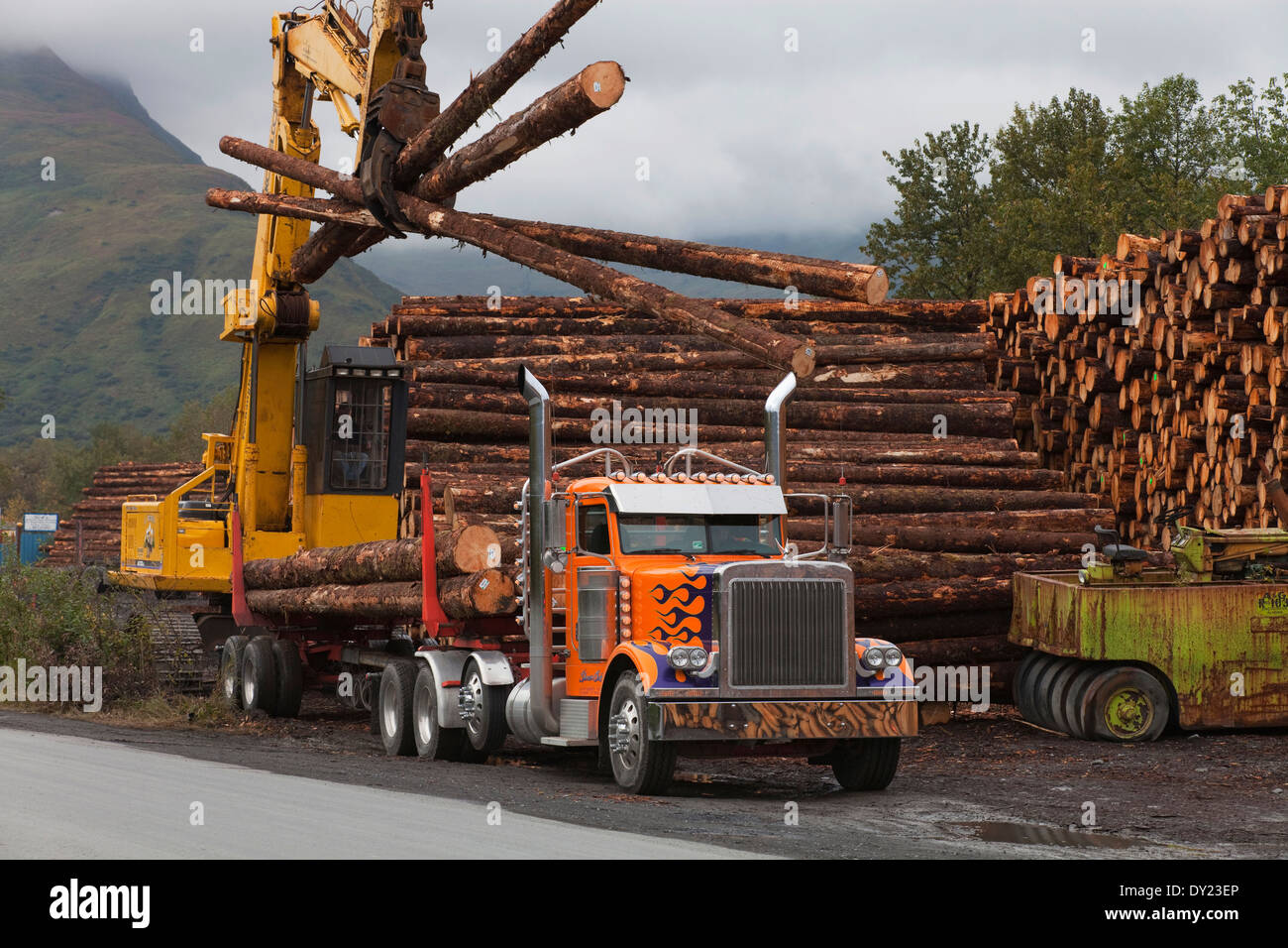 Transitaire chargement des grumes récoltées à Chiniak sur un camion d'exploitation forestière, de l'île Kodiak, sud-ouest de l'Alaska, l'automne Banque D'Images