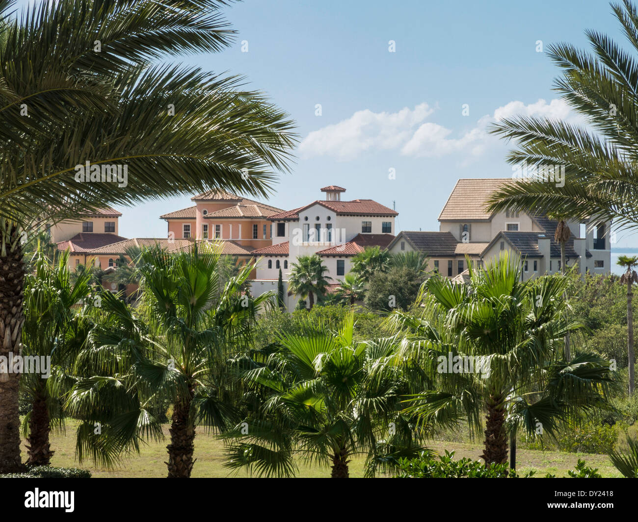 Maisons de luxe et Palm Tree Landscaping, WCI Communauté, Tampa, FL, USA Banque D'Images