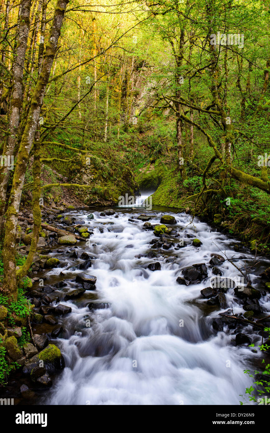 Bridal Veil Creek le long de la gorge du Columbia. Banque D'Images