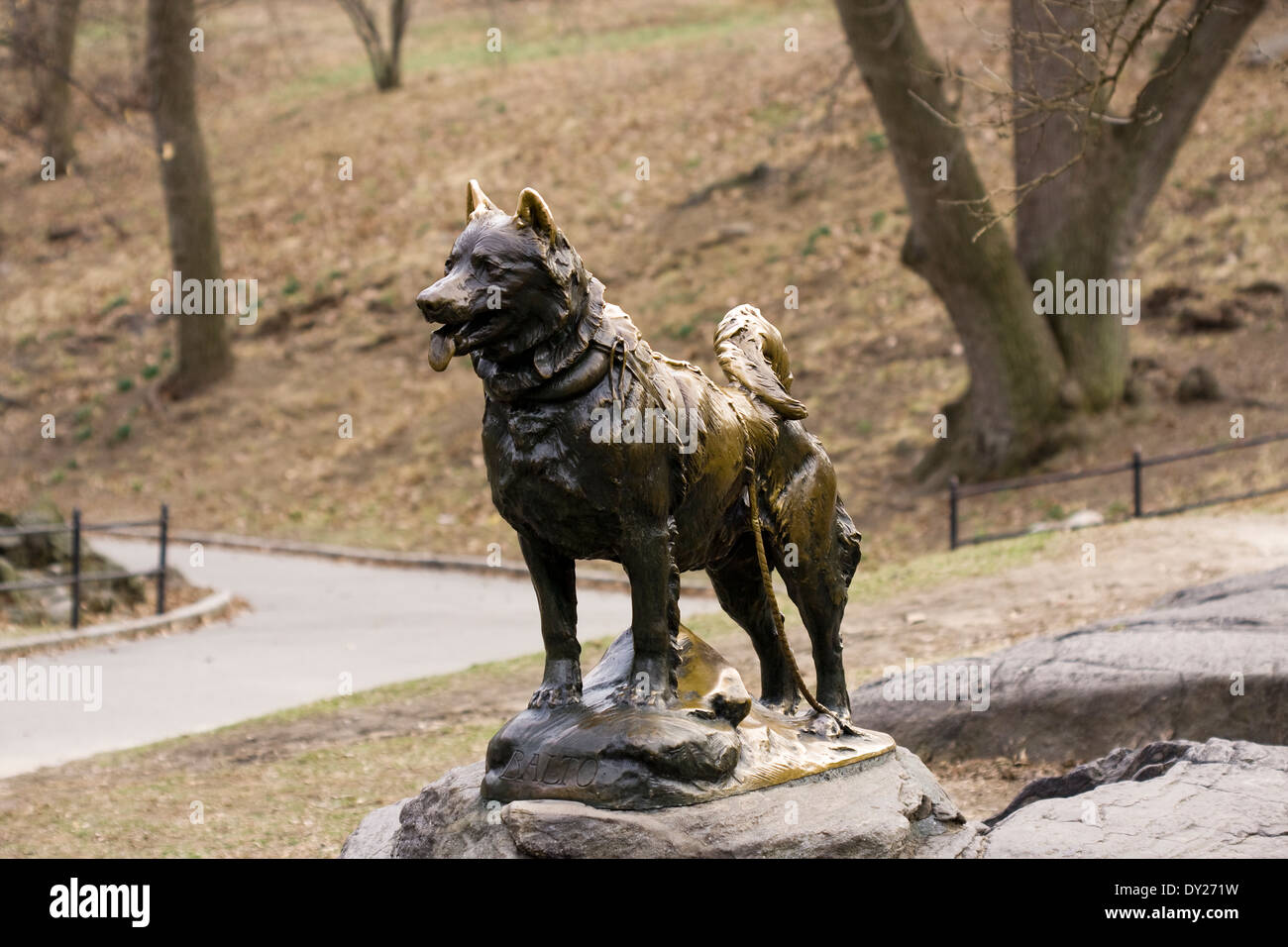 Statue en bronze de la Sled Dog BALTO à New York City's Central Park sculpté par Frederick George Richard Roth en 1925 Banque D'Images