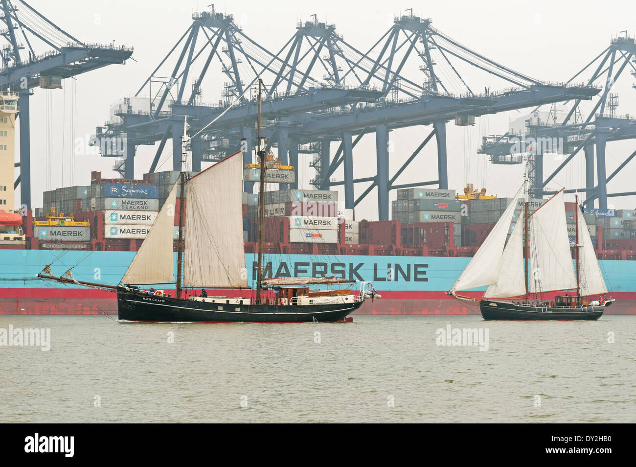 Les grands voiliers néerlandais Marie Galante et Bor voile passé Felixstowe Container Terminal,UK, dans des conditions brumeuses Banque D'Images