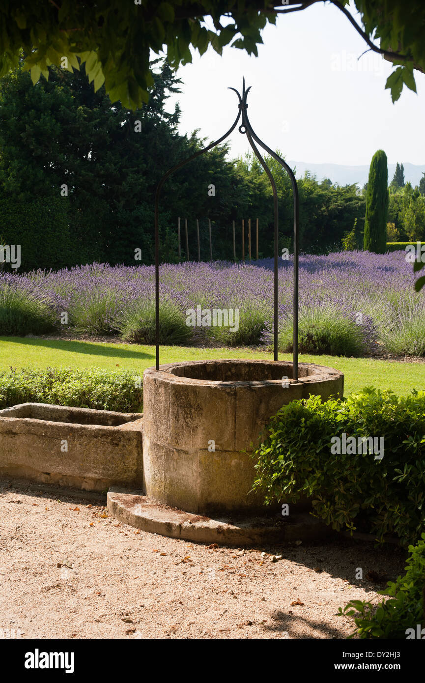 Ancien puits en pierre dans le jardin provençal avec lavande Banque D'Images