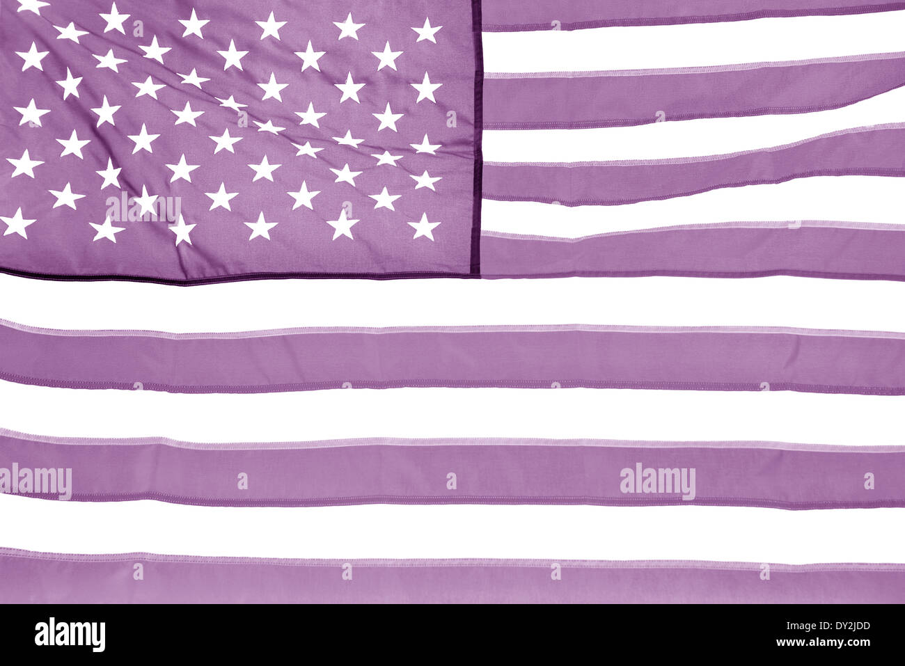 Le drapeau national des États-Unis d'Amérique version lilas. Banque D'Images