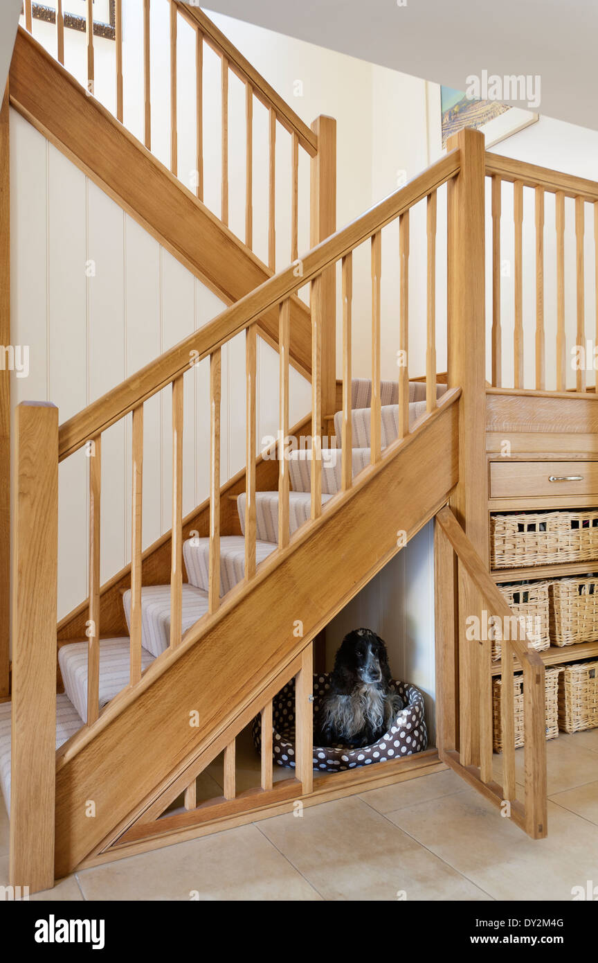 Escalier en chêne avec cage en dessous pour un chien Photo Stock - Alamy