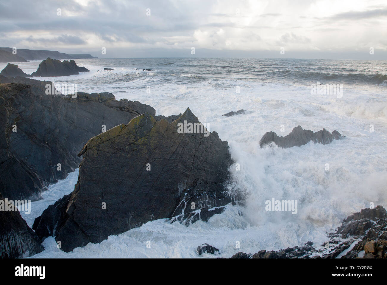 Grande tempête Atlantique vagues se briser sur la côte rocheuse déchiquetée à Hartland Quay, North Devon, Angleterre Banque D'Images