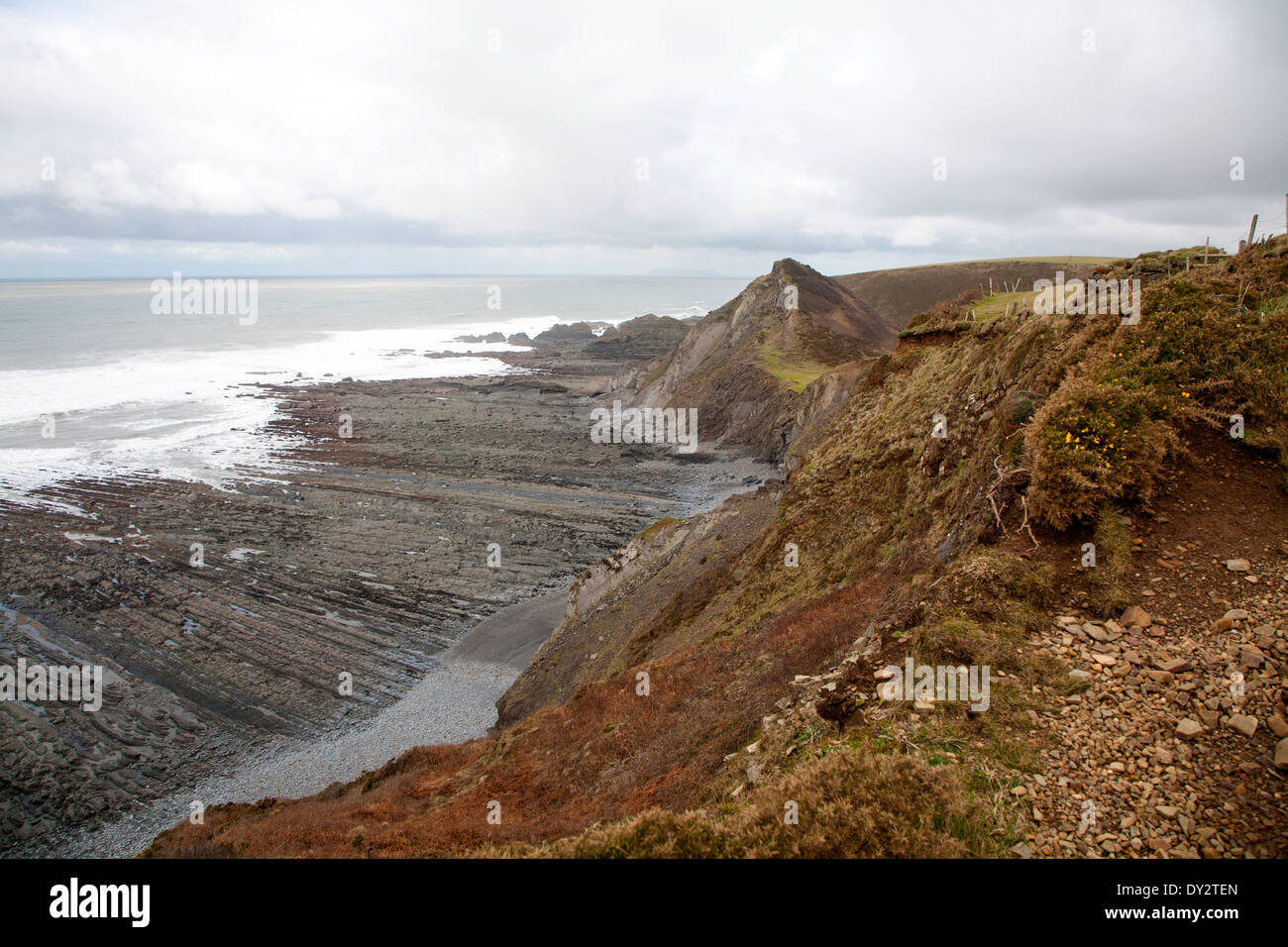 Vague d'érosion de la plate-forme rocheuse coupée de relief avec des crêtes formées par l'érosion des couches inclinées à Hartland Quay, North Devon, Angleterre Banque D'Images