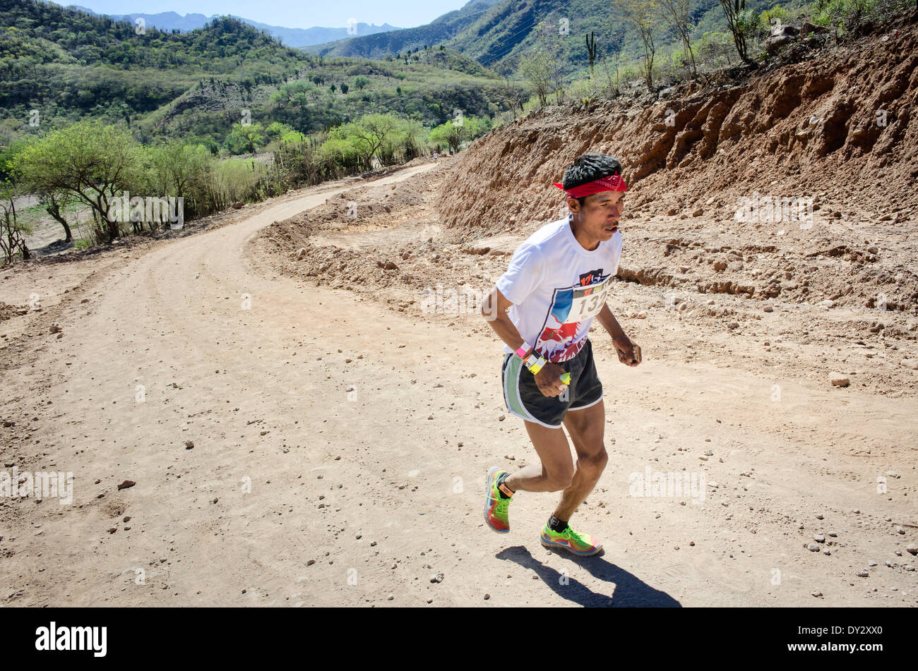 L'ultramarathon de Copper Canyon (Ultra Caballo Blanco), Chihuahua, Mexique. Banque D'Images