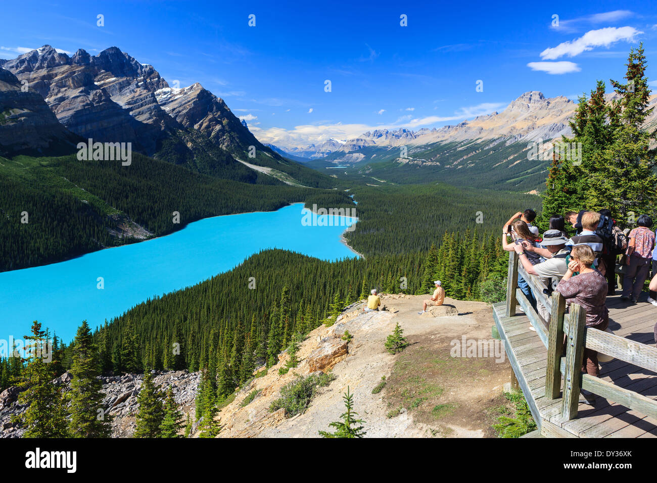 Surplombant le lac Peyto Banff dans N.P, Alberta, Canada Banque D'Images
